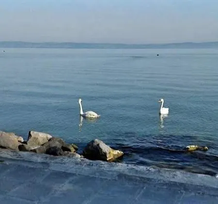 Aranyparton Harom Szobas Apartman Apartmán Siófok